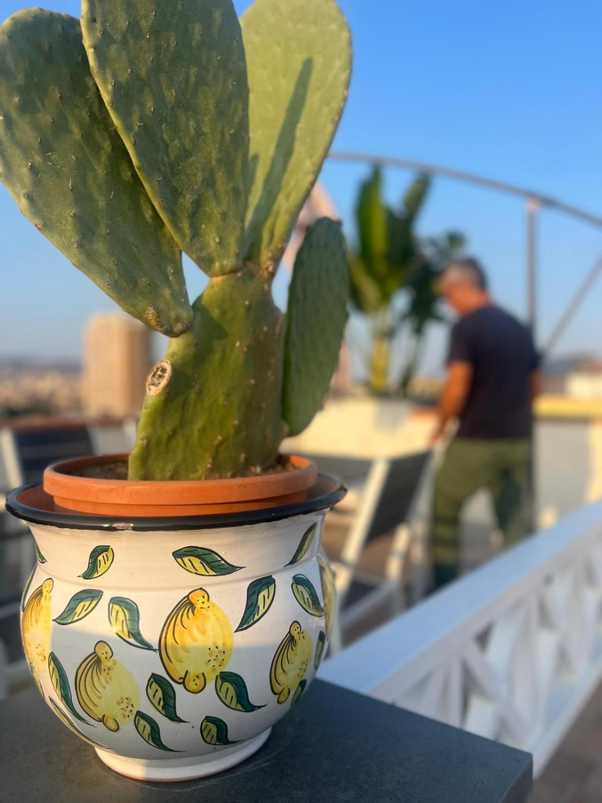 卡塔尼亚La Terrazza Sul Cielo公寓 外观 照片